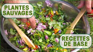 Fines herbes et plantes sauvages à cueillir dans jardins et chemins: 3 recettes de base, M. Fripiat