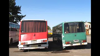 IKARUS bus engines sounds. Uzhhorod bus station
