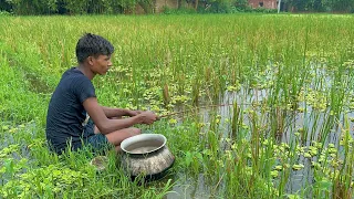 Fishing Video✅|| The boy is fishing with a hook in rainy day the beautiful rice field of the village