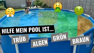 Hilfe meine Pool ist grün, braun, trüb, milchig - Was tun, wenn der Pool kippt!? 🤔