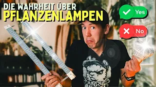 Pflanzenlampe 🤯 Hui oder Pfui - Wie viel Licht braucht deine Pflanze?