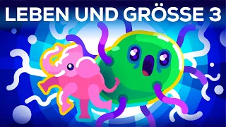 Bakterien so groß wie Blauwale - Leben & Größe 3