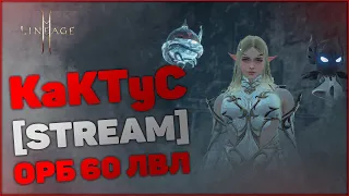 [Lineage 2M] Орб 61 лвл | Барц 1 | KaKTyC - Соло и Пати Данжи, Фарм ЛОА4