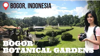 Exploring The Bogor Botanical Gardens - Bogor, Indonesia