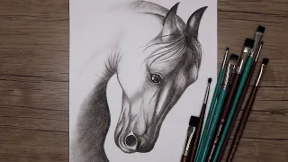 How to Draw a Horse Head with Pencils | Animal Drawing | Step by Step Sketch