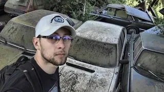 Cemeteries of abandoned cars in France - Urbex