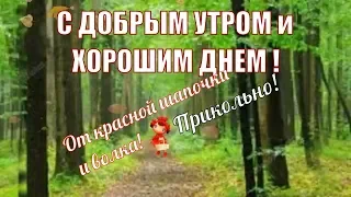 С добрым утром🌸прикольные пожелания доброго утра🌸Доброе утро🌸