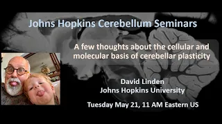 David Linden: cerebellar plasticity