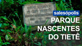 Parque Nascentes do Tietê: Preservação do rio que fez a história do Estado