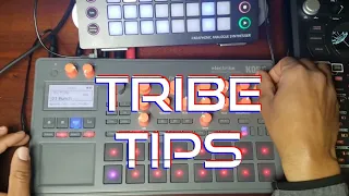 Tribe Tips: Meldies without Notes!    -Trigger Hold Motion Recording on Korg Electribe