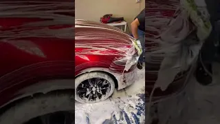 Newly ceramic coated Mazda 3 wash tutorial #ceramiccoated  #tricitieswa  #autodetailingtips