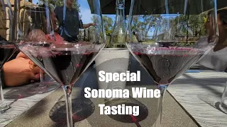 California Wine Country // Food & Wine Tasting in Sonoma Ca.