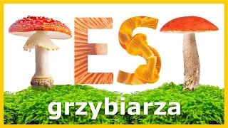 Test Grzybiarza - Ile z tych Grzybów Znasz? (Szybki Quiz)