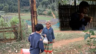 The orphan boy cut down a banana tree to exchange rice for cooking