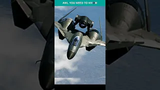 F-22 Raptor Hates This Ace Combat Aircraft | ADFX-2 Morgan #shorts