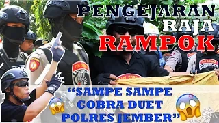 BARU !! SERU !!! Pengejaran Raja Rampok