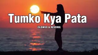 Tumko Kya Pata (Slowed And Reverb)  ~ LoFi - Song