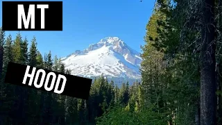 Mt hood // Trillium lake winter loop