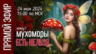 МУХОМОРЫ ЗАПРЕЩЕНЫ🚫 🍄 Кому?.. Почему я против и не советую употреблять  мухомор