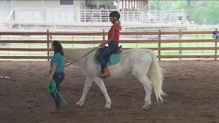 Healing with Horses offers equine-assisted therapy in Manor | FOX 7 Austin