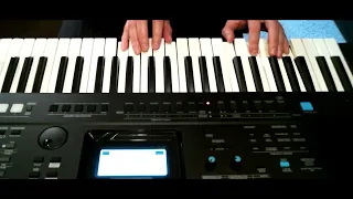 De Hamburger Veermaster - Keyboard - Yamaha PSR e473