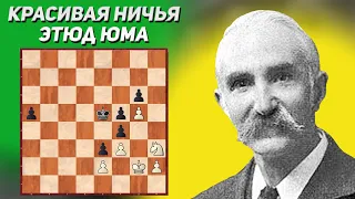 Красивая ничья. Шахматный этюд. Джордж Юм, 1919 год. Шахматная композиция. Шахматные этюды. Шахматы.