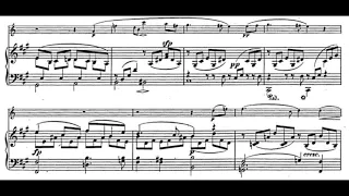Schumann - Fantasiestücke (piano accompaniment)