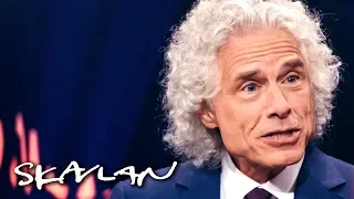 Steven Pinker on why he thinks the world is getting better | SVT/TV 2/Skavlan
