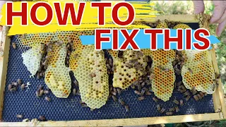 Beekeeping: How To FIX & PREVENT Wonky Comb