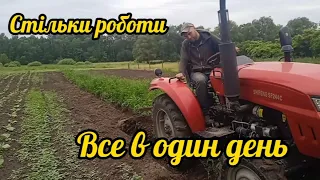 Все в один день.Фрезеруємо малину,важка оранка.Нарешті досадили розсаду. Будні села.