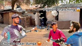 Kabutar lekar hua panga 😳 !! Pigeon catcher fighting with us 🥺