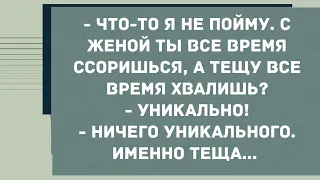 С женой ты ссоришься, а тещу всё время хвалишь? Смех! Юмор! Позитив!