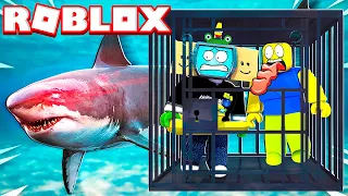 TRAPPED IN A SHARK CAGE In ROBLOX!