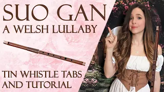 Suo Gan - A Traditional Welsh Lullaby at Brynkir Tower | TIN WHISTLE TABS TUTORIAL FOR BEGINNERS