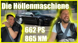 Der Witwenmacher?! Ford Mustang Shelby GT 500 von SVT