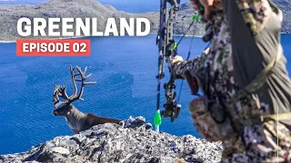 BOWHUNTING CARIBOU 2 💥 HUNT THEM CLOSE TACTICS 💥 GREENLAND HUNTING SERIES [EPISODE 02]