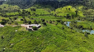 Fazenda  a venda em São Félix do xingu Pará.  70 alqueires com 35 de pasto