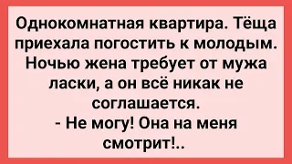 Как Теща на Зятя Смотрела! Сборник Свежих Смешных Жизненных Анекдотов!