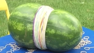 The Great Watermelon Challenge(s) | Flippin' Katie