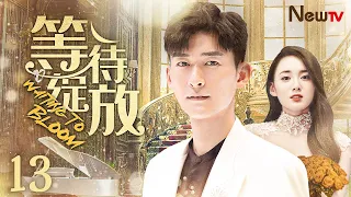 【ENG SUB】等待绽放13 Waiting to Bloom丨温婉坚韧富家千金#江铠同VS风流浪漫艺术青年#张翰，追梦路上坎坷相伴