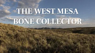 The West Mesa Bone Collector