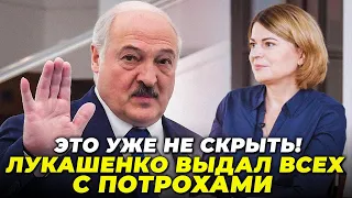 ⚡️У ЛУКАШЕНКО ОБОСТРЕНИЕ! РАДИНА: плебеи “БАЦЬКИ” бросились облизывать ХАМАС, угрозы усилятся