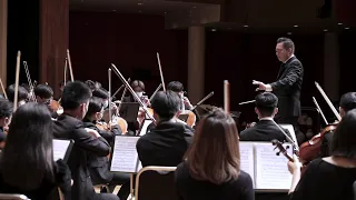 Tchaikovsky Symphony No. 5, II. Andante cantabile, con alcuna licenza