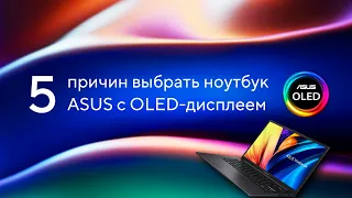 5 причин выбрать ноутбук ASUS с OLED-дисплеем