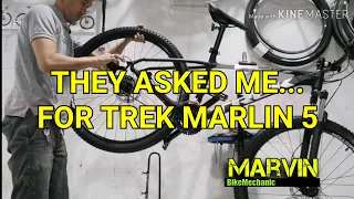 THEY ASKED ME ABOUT THE REAR HUB OF THE TREK MARLIN 5