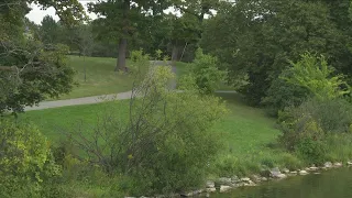 Police: attempted sexual assault reported at Delaware Park