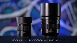 Leica 42.5 1.2 Nocticron vs Panasonic Lumix 42.5 1.7