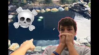 First PET FISH for the POND! (you wont believe what happens)