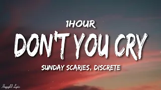 Sunday Scaries, Discrete - Don't You Cry (Lyrics) [1HOUR]