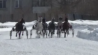 13. 03. 2021 Заезд №3 (18). Приз "Русская зима"